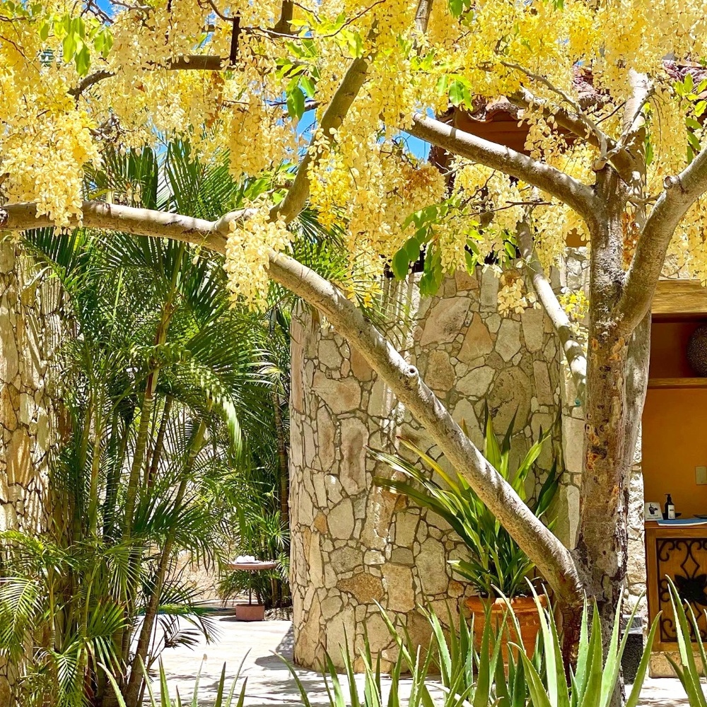 Meet your Posher, RhysNathan